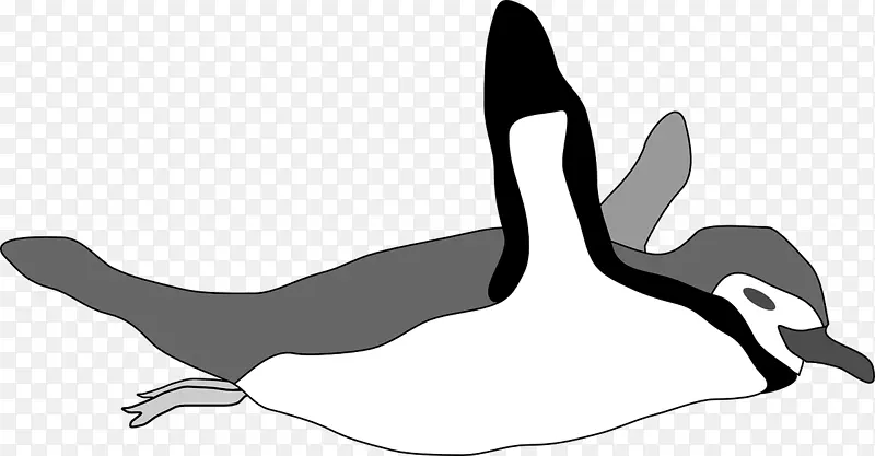 帝企鹅鸟游泳剪贴画-游泳