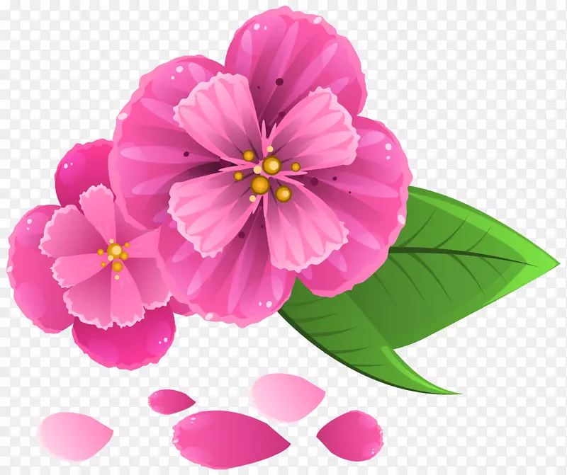 粉色花朵花瓣剪贴画-花瓣