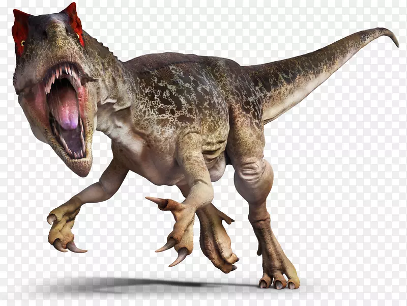 异特龙Saurophaganax Yong兽足类Torvosaur-t rex