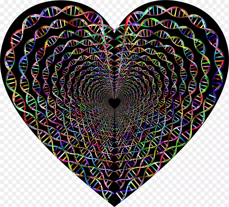 DNA心脏核酸序列生物学家核酸双螺旋隧道