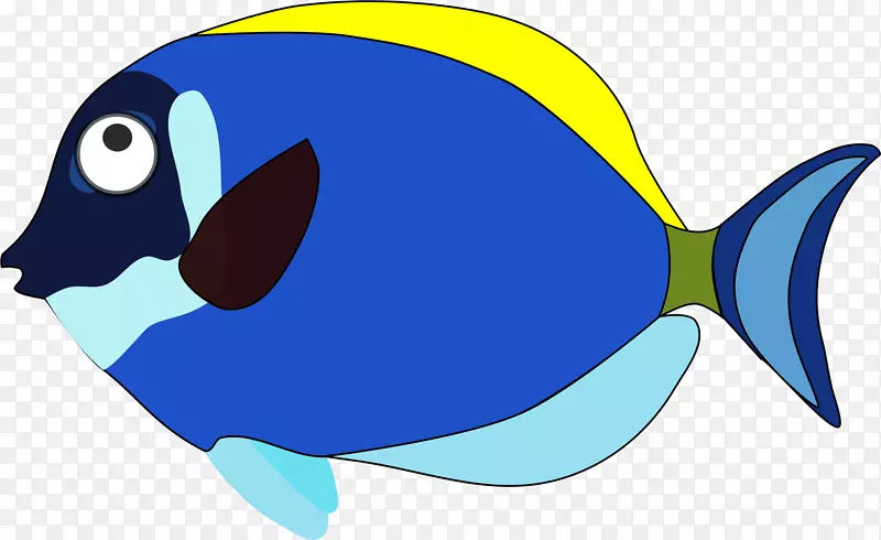 鱼类动画剪辑艺术-金鱼