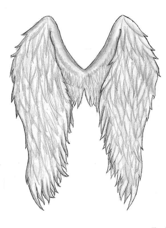 画天使-天使之翼