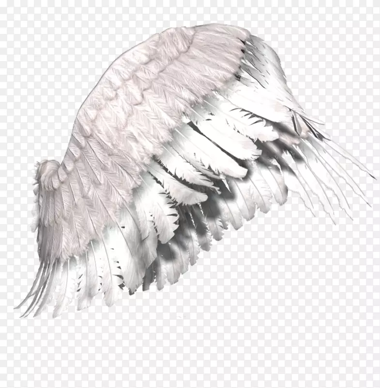 加布里埃尔哥特式小说天使哥特式艺术梦想艺术天使翅膀