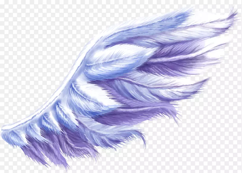 紫色动物翅膀羽毛剪贴画.麻绳