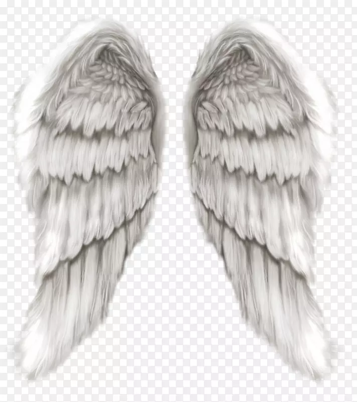 天使迈克尔剪贴画-天使翅膀