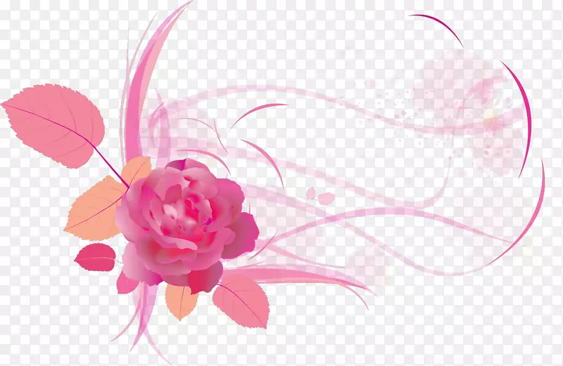 玻璃花园玫瑰-粉红色玫瑰