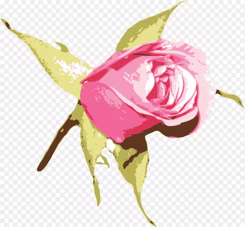 蓝色玫瑰插花艺术-粉红色