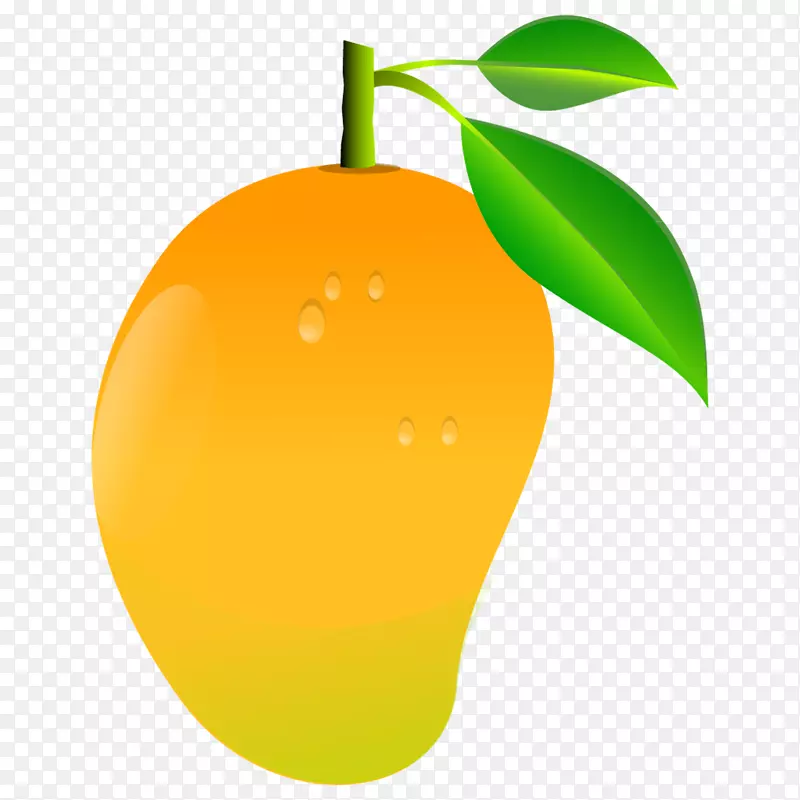 果汁芒果水果夹艺术-鳄梨