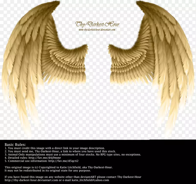 魔鬼层-天使之翼