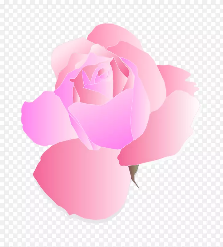玫瑰粉色自由剪贴画-粉红色玫瑰