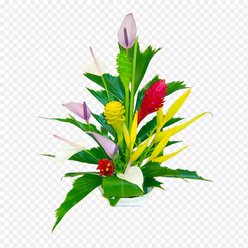 凯鲁阿花束，天线花，剪贴画-热带花
