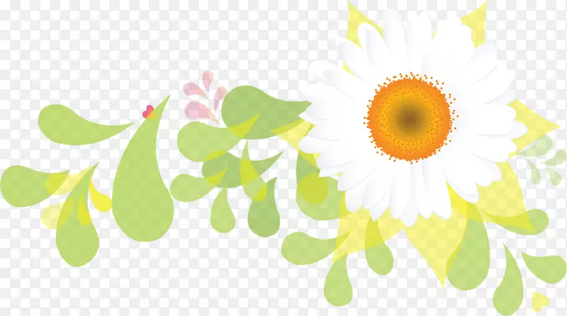 花花瓣摄影植物-太阳拍
