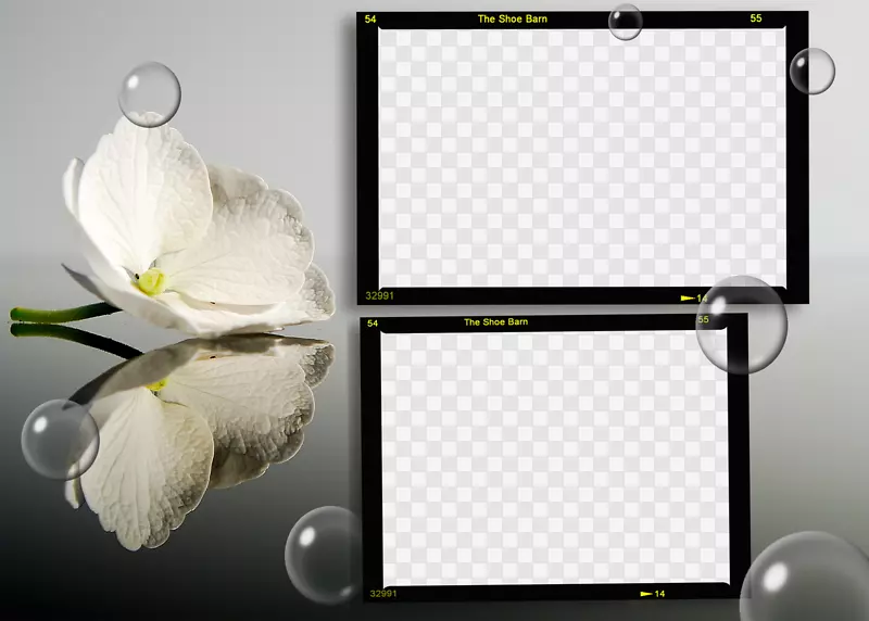 花卉桌面壁纸天然镜片-Photoshop