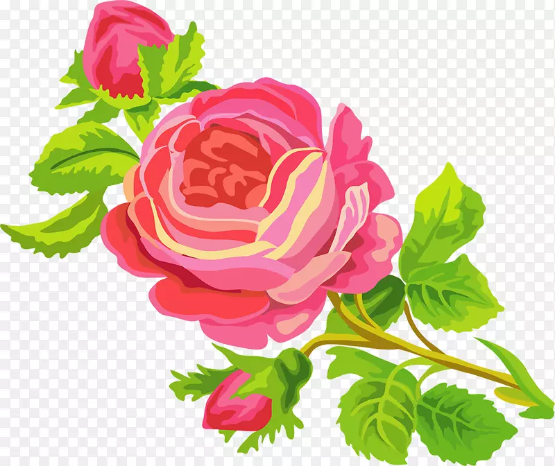 静物：粉红玫瑰剪贴画手绘