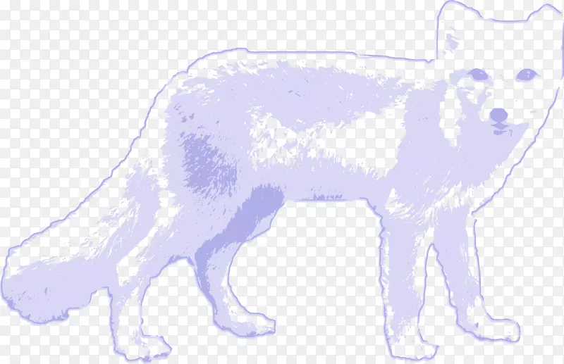 北极狐北极狼红狐夹艺术北极狐