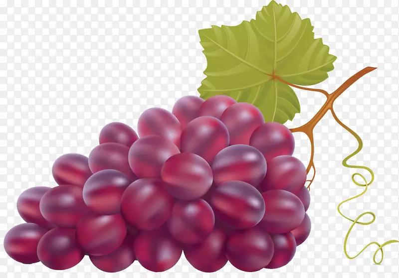 葡萄酒葡萄叶剪贴艺术-葡萄