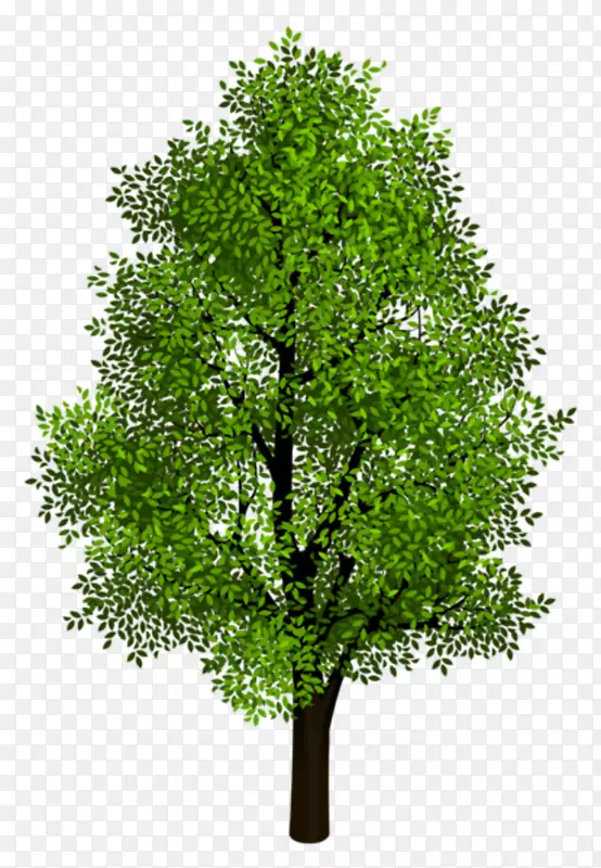 树枝剪贴画-绿色