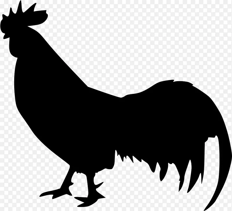 鸡块鸡肉恐龙-公鸡