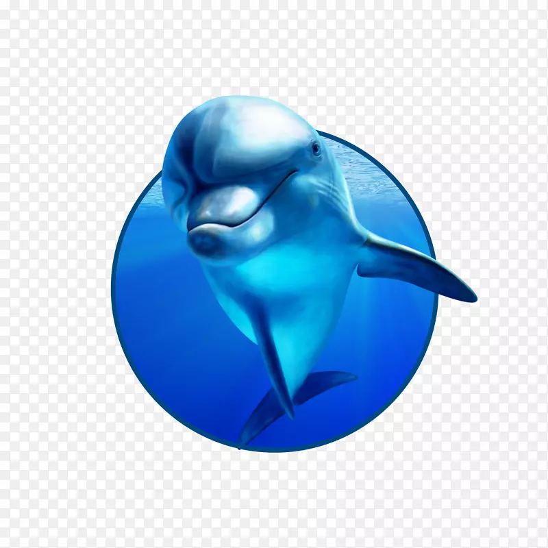 Tolyatti PenzzCheboksary海豚水族馆-海豚