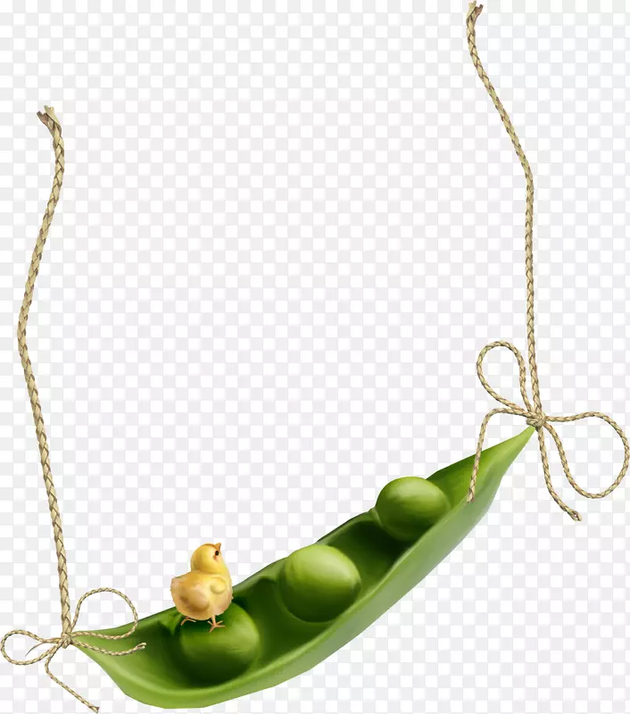 雪豌豆绿豆蔬菜图
