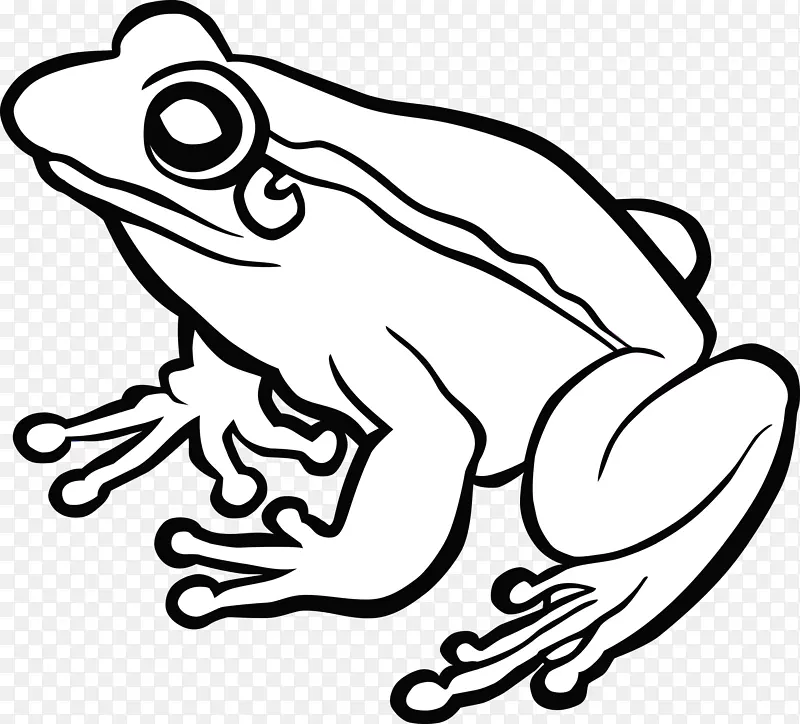 蛙纹画夹艺术-两栖动物