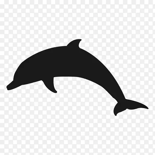 宽吻海豚剪贴画-海豚