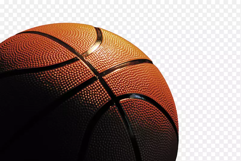 密西根狼獾男子篮球秒女子篮球锦标赛-篮球场