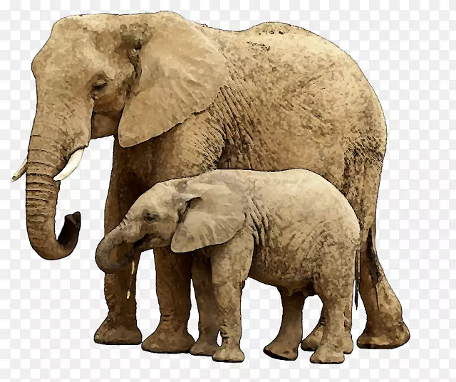 大象儿童摄影剪贴画-大象