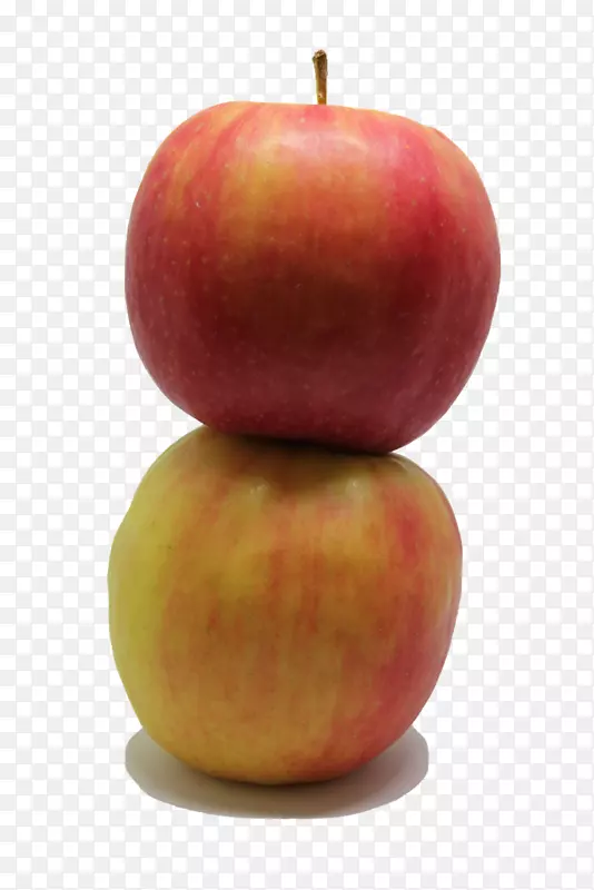 苹果果品画-苹果果