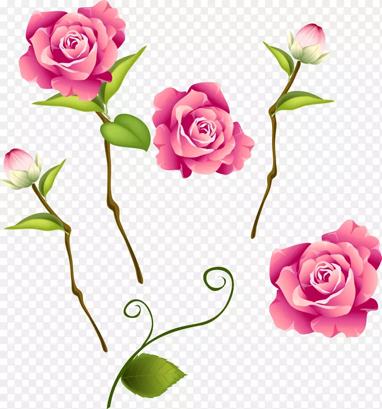 花束玫瑰花设计剪贴画