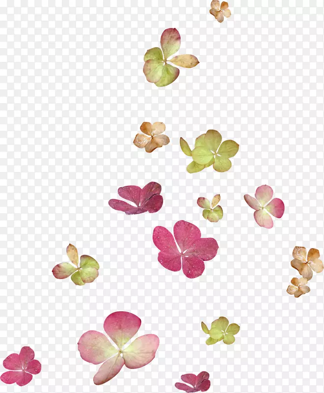 花卉插花艺术-浮动
