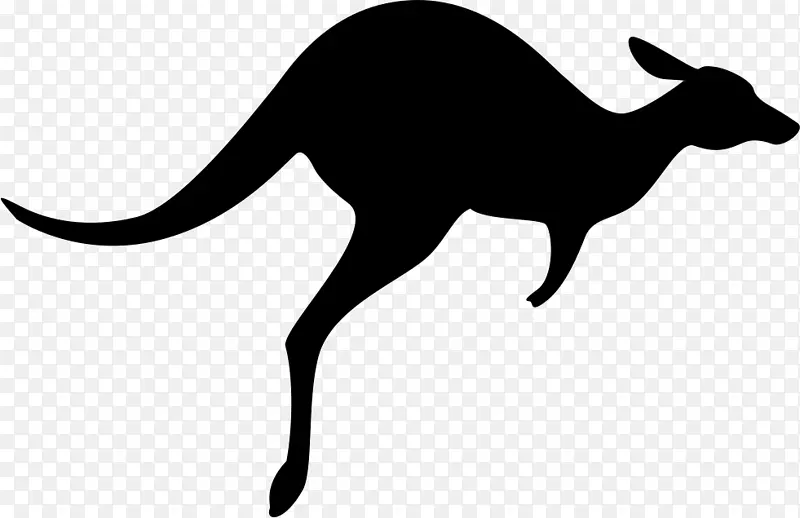 澳大利亚大袋鼠电脑图标壁虎袋鼠