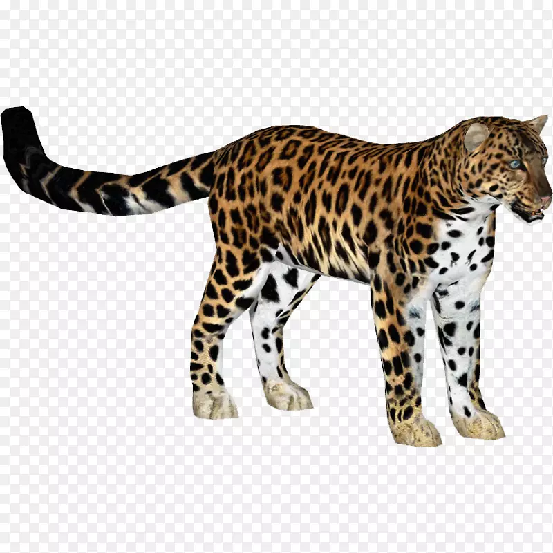 动物园大亨2美洲豹猫科豹