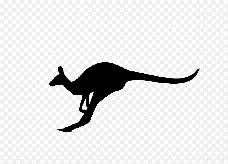 澳大利亚袋鼠剪影-袋鼠