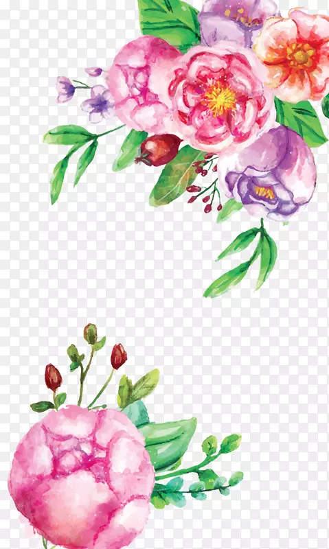 切花花卉设计花园玫瑰-水彩花