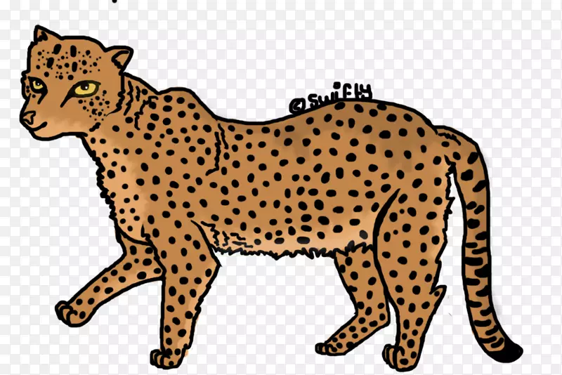 猎豹美洲豹野猫猎豹
