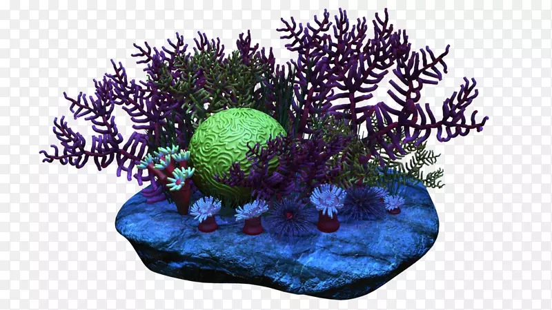 珊瑚礁剪贴画-珊瑚