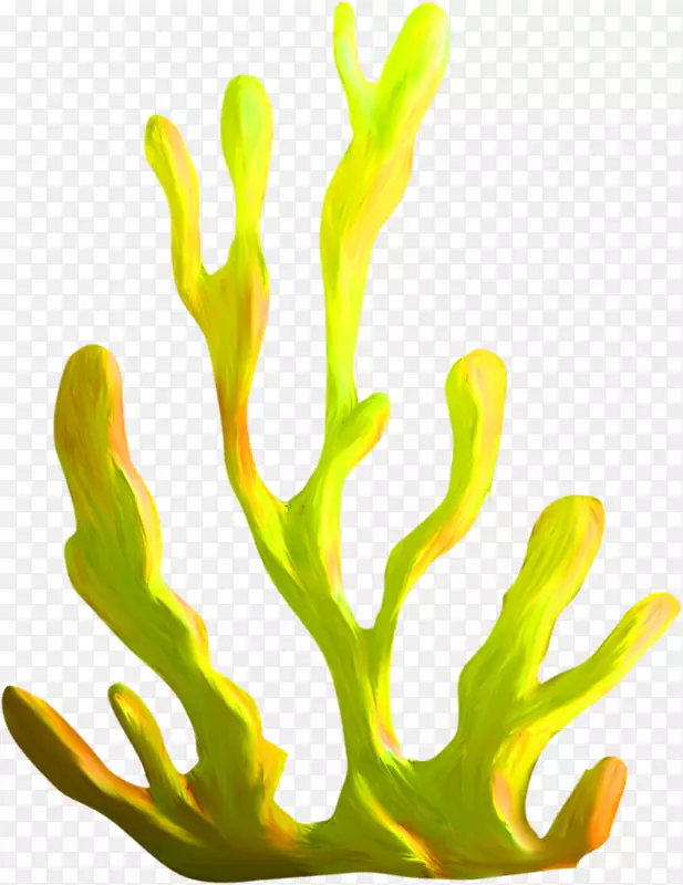 海藻珊瑚植物剪贴画-珊瑚
