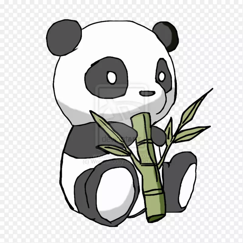 大熊猫画熊动画-熊猫