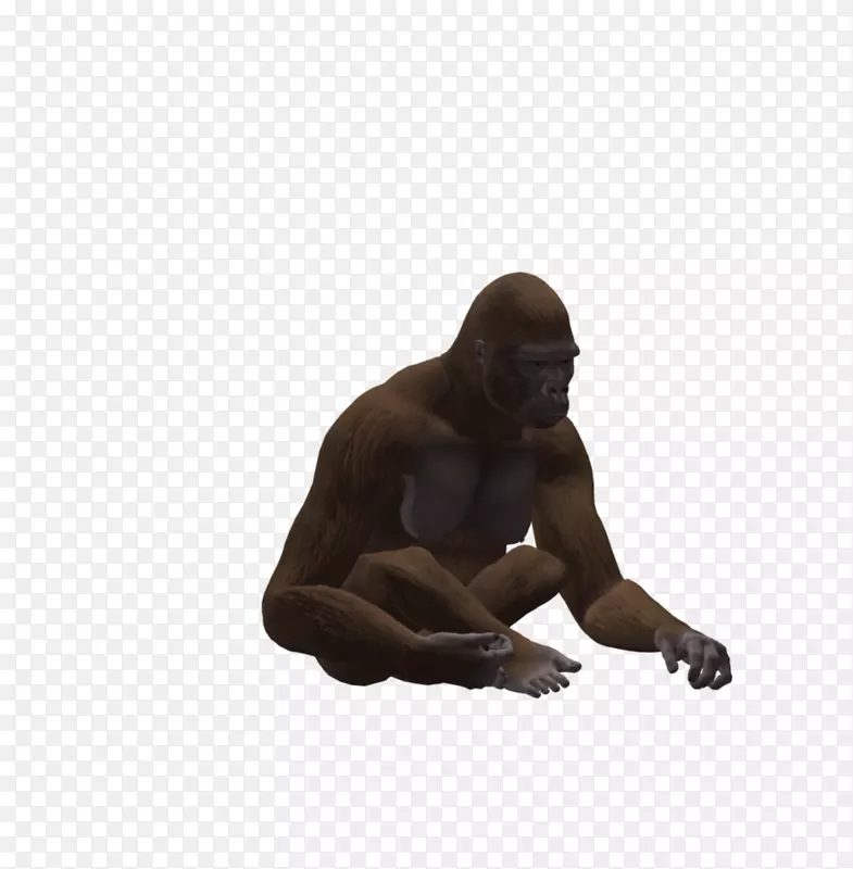 大猩猩黑猩猩灵长类动物-大猩猩