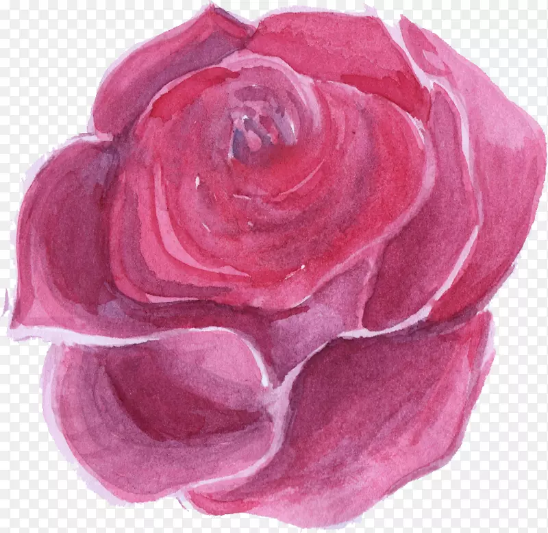 玫瑰水彩画-水彩画