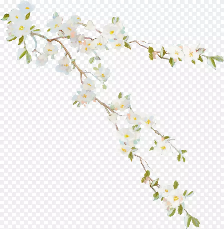 花卉藤桌面壁纸夹艺术-藤蔓