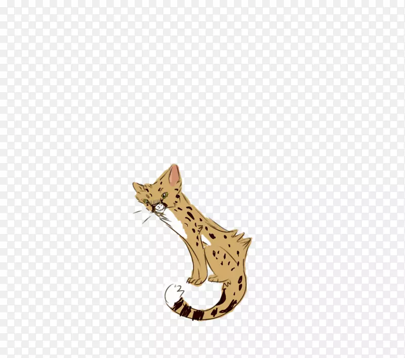 猫科宠物食肉尾豹