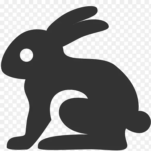 复活节兔子哈瓦那兔子电脑图标-兔子