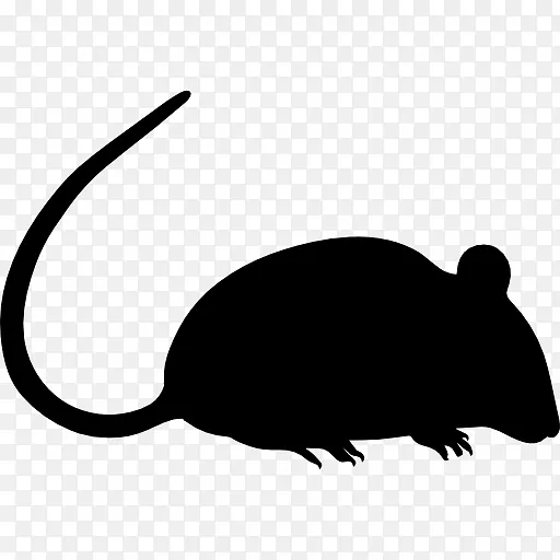 电脑鼠标黑鼠电脑图标-老鼠