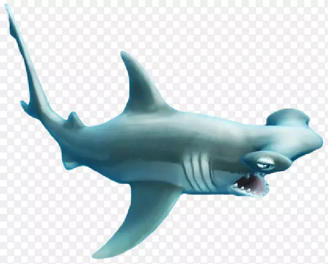 饥饿鲨鱼进化-大锤头鲨