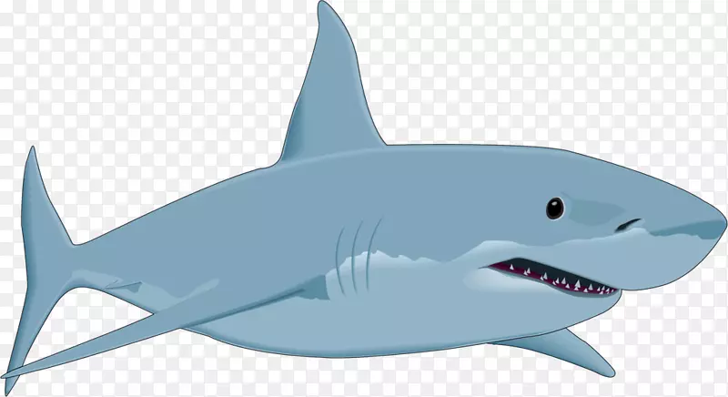 大白鲨绘画剪贴画-鲨鱼