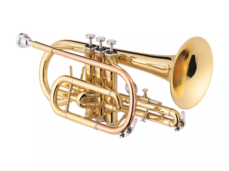 Cornet喇叭，黄铜乐器，阀门，黄铜乐器，单簧管.萨克斯管