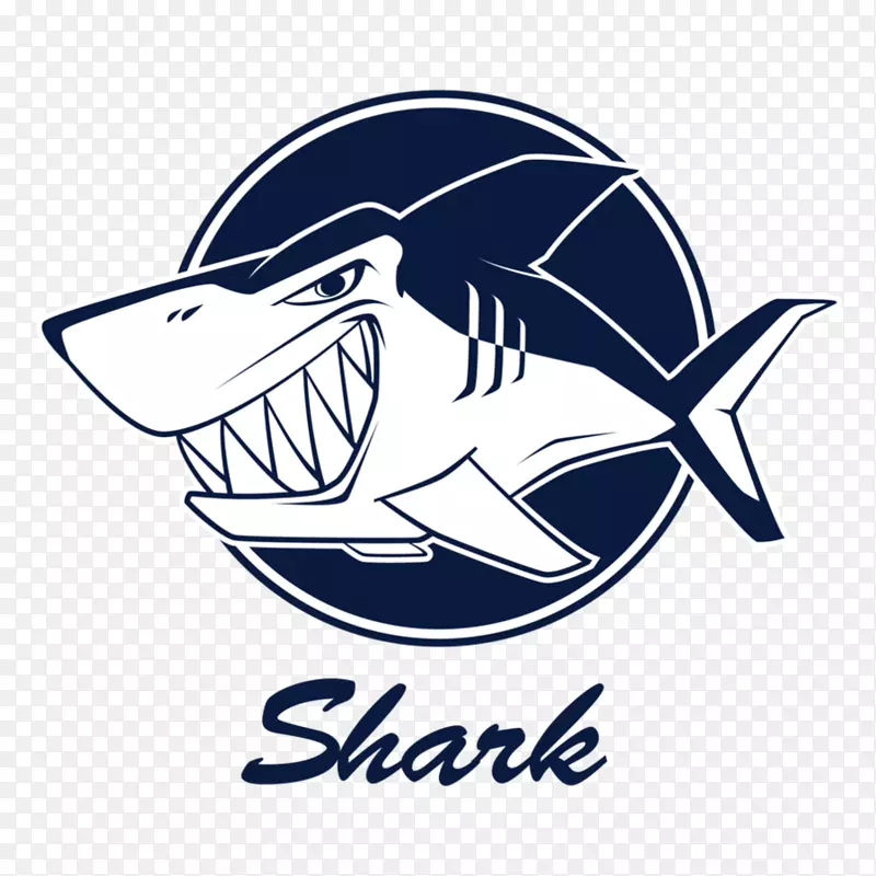 虎鲨运动大白鲨锤头鲨鱼