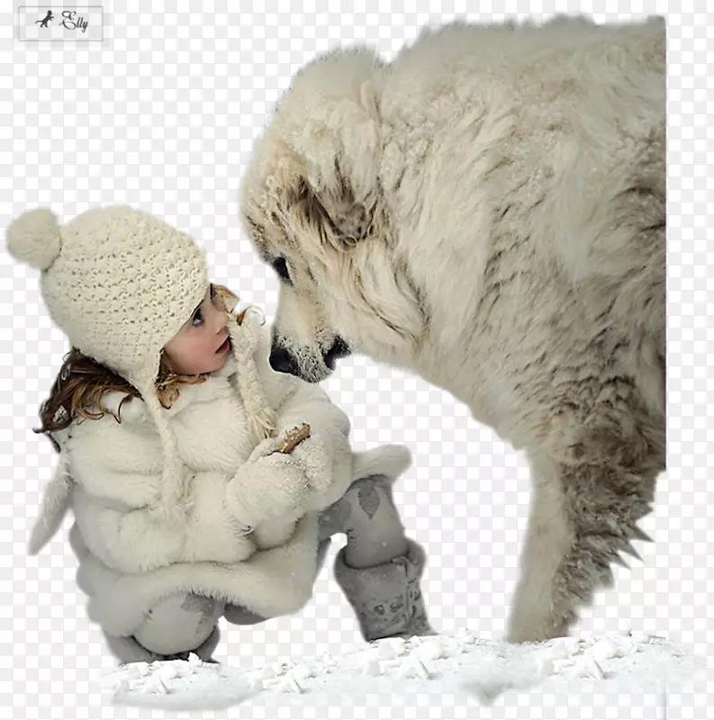 英国小猎犬冬季动物小狗小猫-水彩画